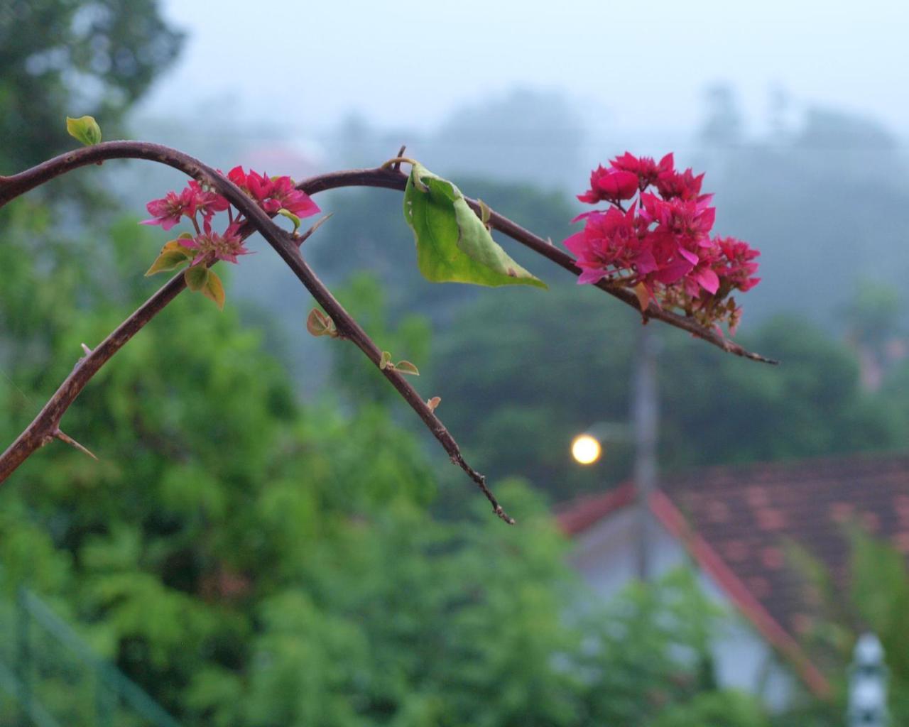 Namal Stay Weligama Exterior photo